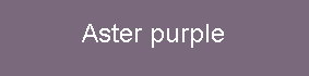 farbe_aster-purple.jpg